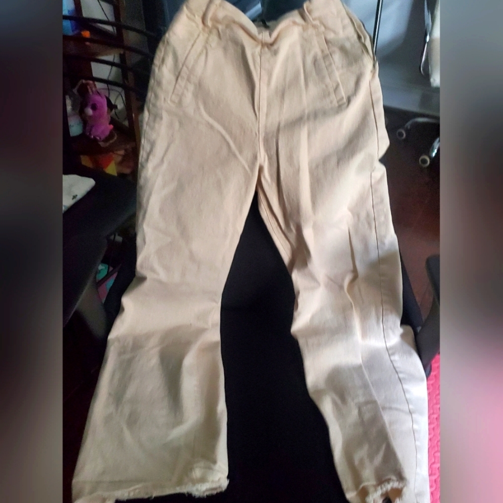 Zara pant